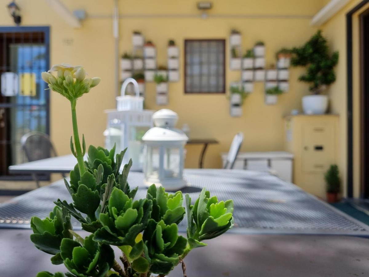 Bed and Breakfast La Finestra Sul Colle Parrana San Martino Экстерьер фото